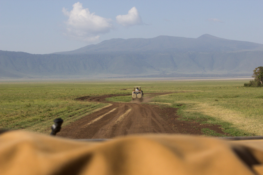 Crater + South Serengeti - Screen-10