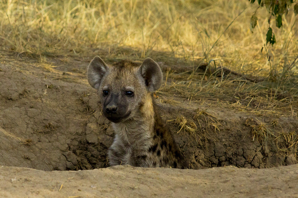 N Serengeti and Zanzibar - Web -35